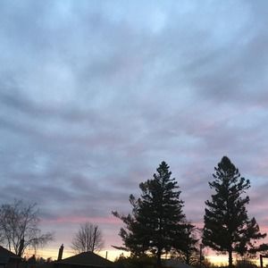 Meet your Posher, Samiya